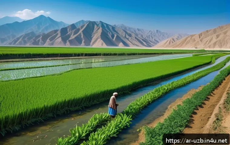 우즈베키스탄의 주요 강과 수자원 - A vibrant rural Uzbek cotton and rice farm irrigated by the flowing Syr Darya River under a clear bl...